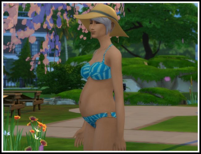 Sims 4 Pregnancy Overhaul Mod