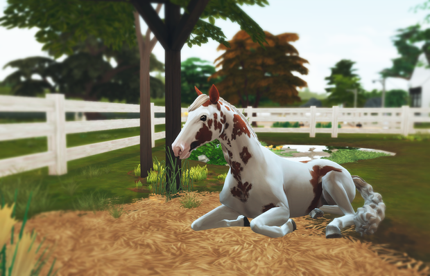Sims 4 Natural Horse Beds 