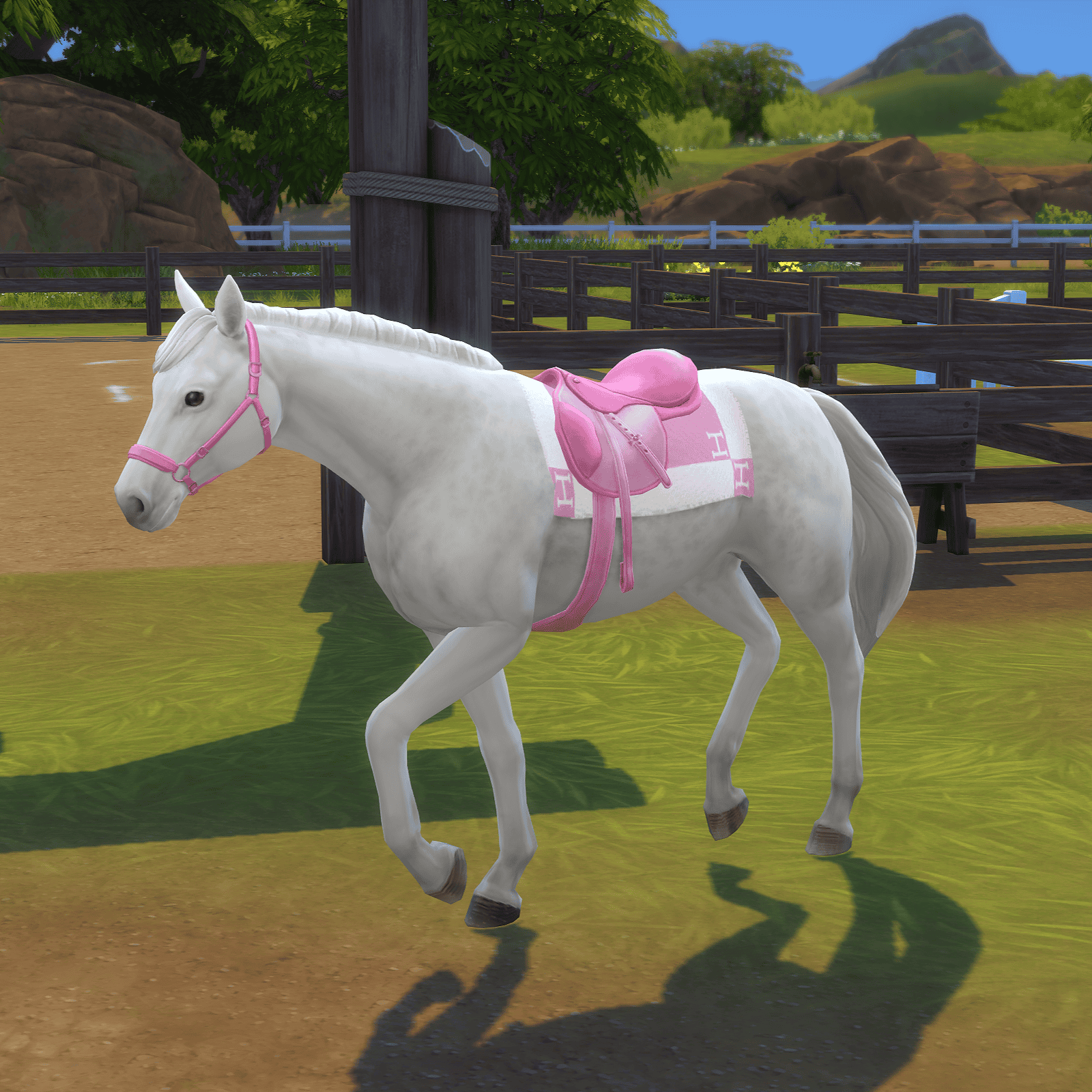 Pink Bridle & Saddle