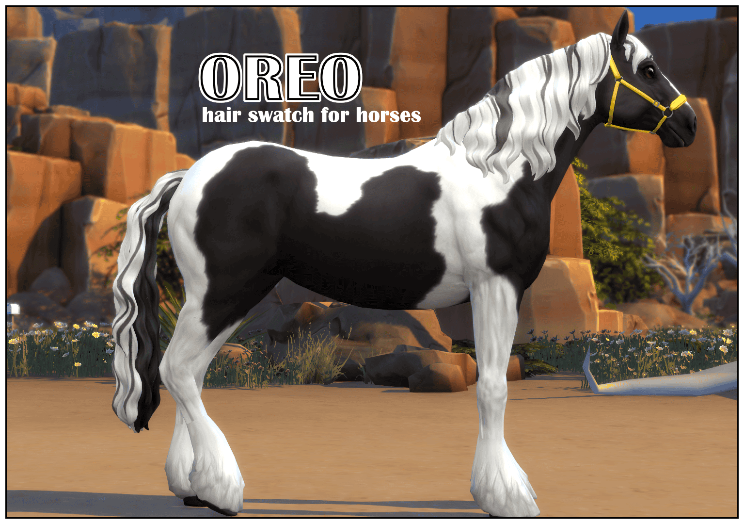 Oreo Horse Hair