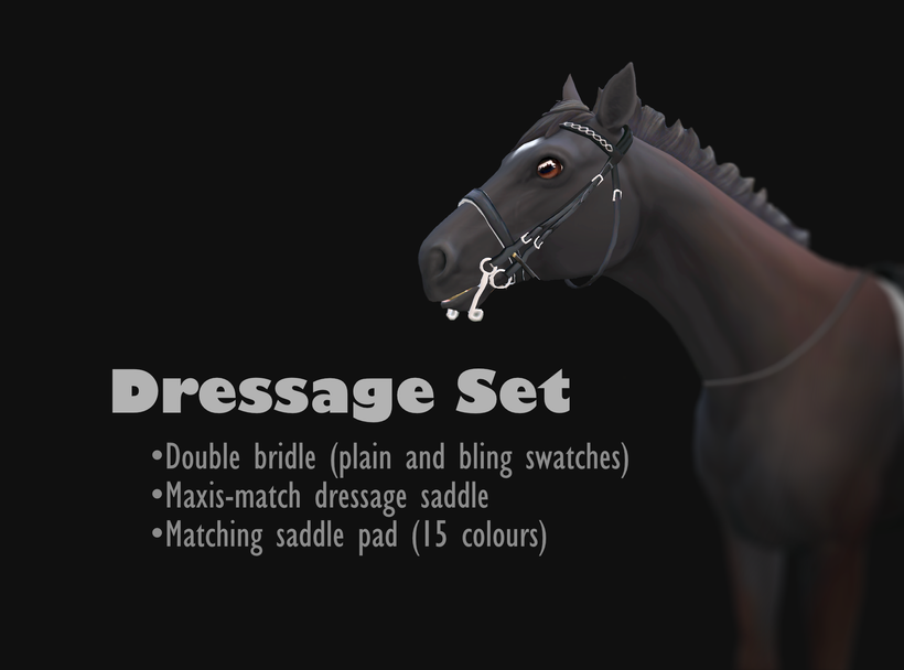 Dressage Set
